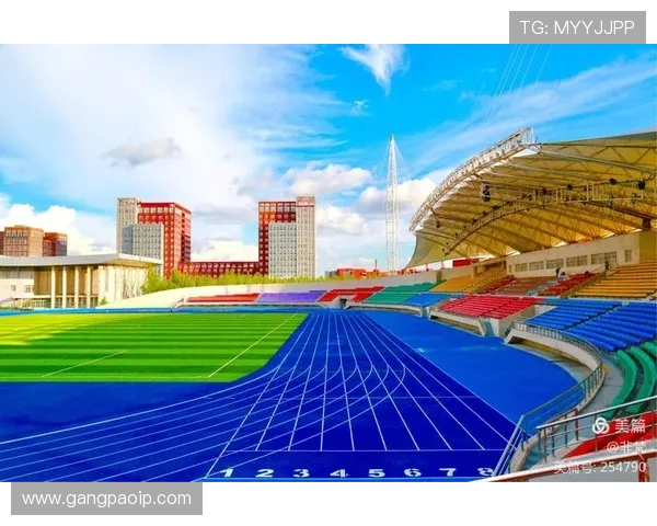 聚焦世界田径赛事劲旅崛起与荣耀征程全景解析实力版图与未来挑战 - 副本 - 副本 - 副本 (3)